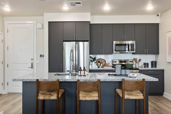 Gourmet kitchen with modern cabinetry